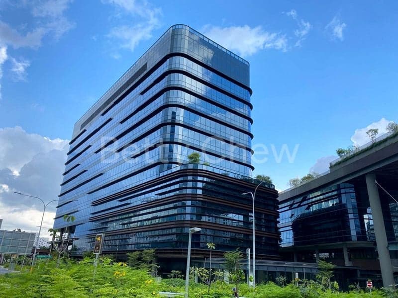 meow-hero-section-img