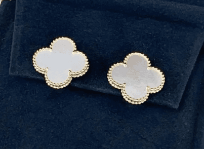 meow-hero-section-img