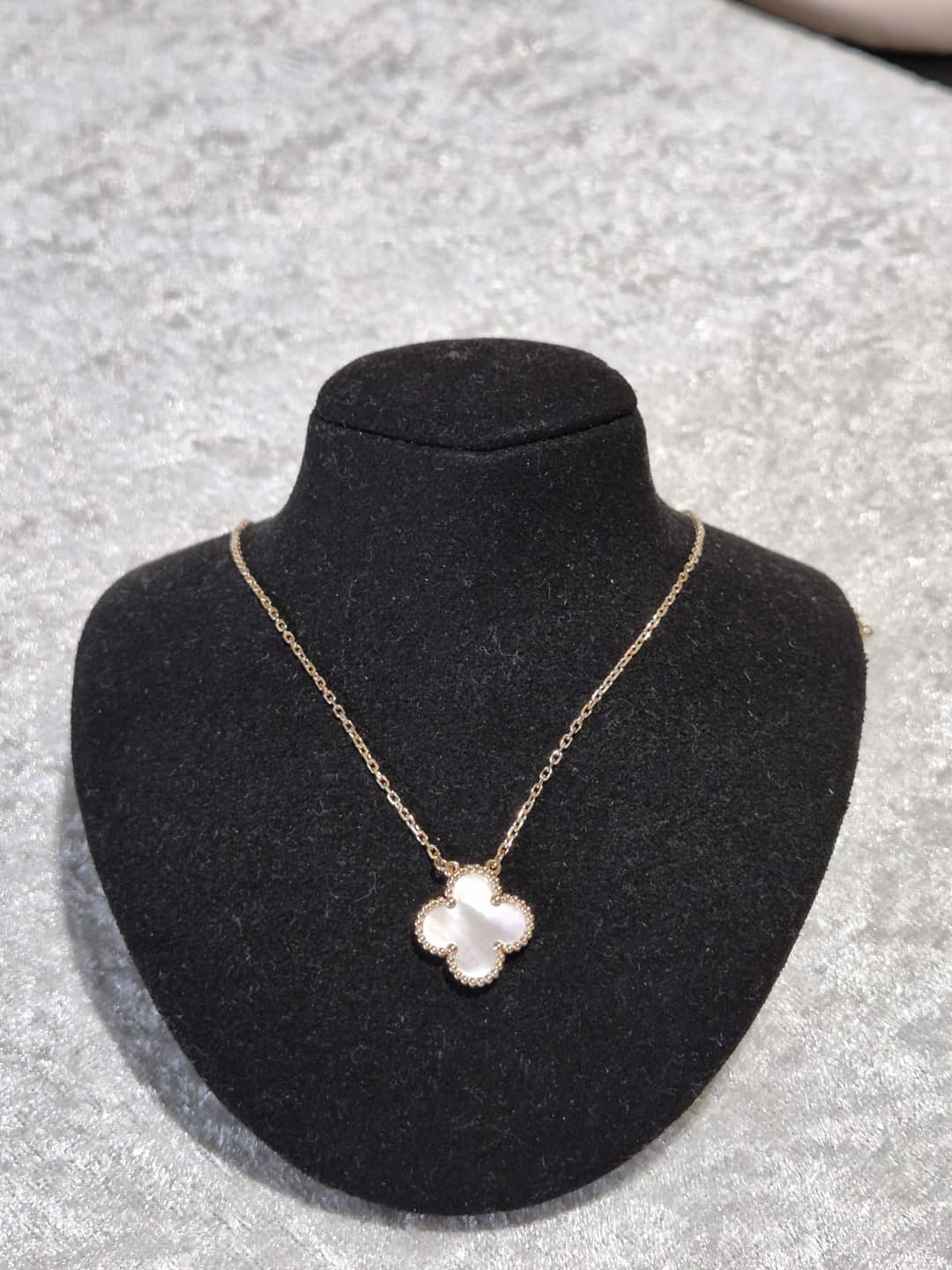 meow-hero-section-img