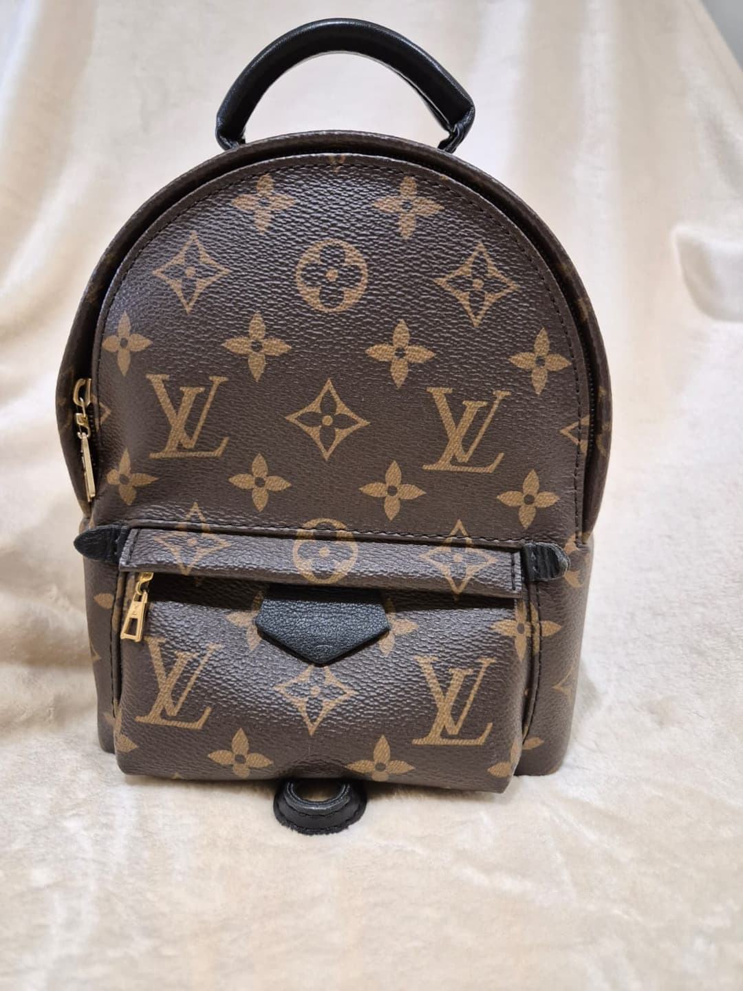 meow-hero-section-img